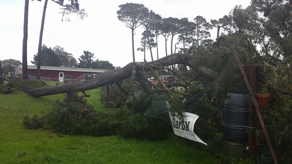 16864622_10211903573933337_2300515794214636065_n