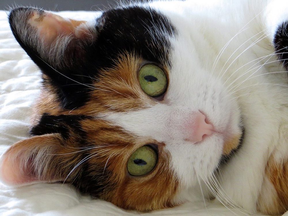 17359406_10212176418714286_6644623339013822704_o